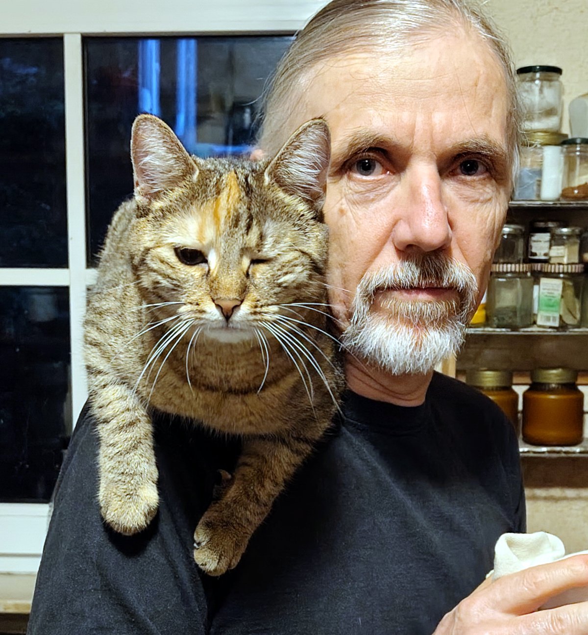 Katze Lilly sitzt gemütlich auf der Schulter ihres Zweibeiners in der Küche. Sie lehnt dicht an seinem Kopf und kneift ein Auge zu, als würde sie in die Kamera zwinkern. Im Hintergrund stehen Gläser und Vorräte in einem Regal. Lilly-20260928a