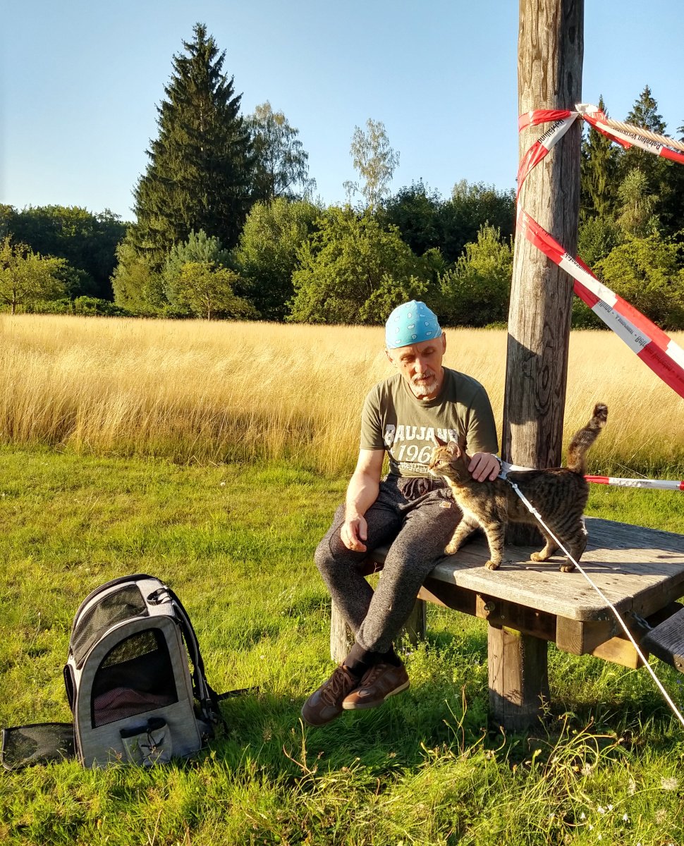 Katze Lilly steht auf einer sonnigen Waldwiese neben ihrem sitzenden Zweibeiner und genießt eine Streicheleinheit. Neben ihnen steht der geöffnete Katzenwanderrucksack, im Hintergrund leuchten Wiese, Wald und blauer Himmel im warmen Abendlicht. Lilly-20260802a