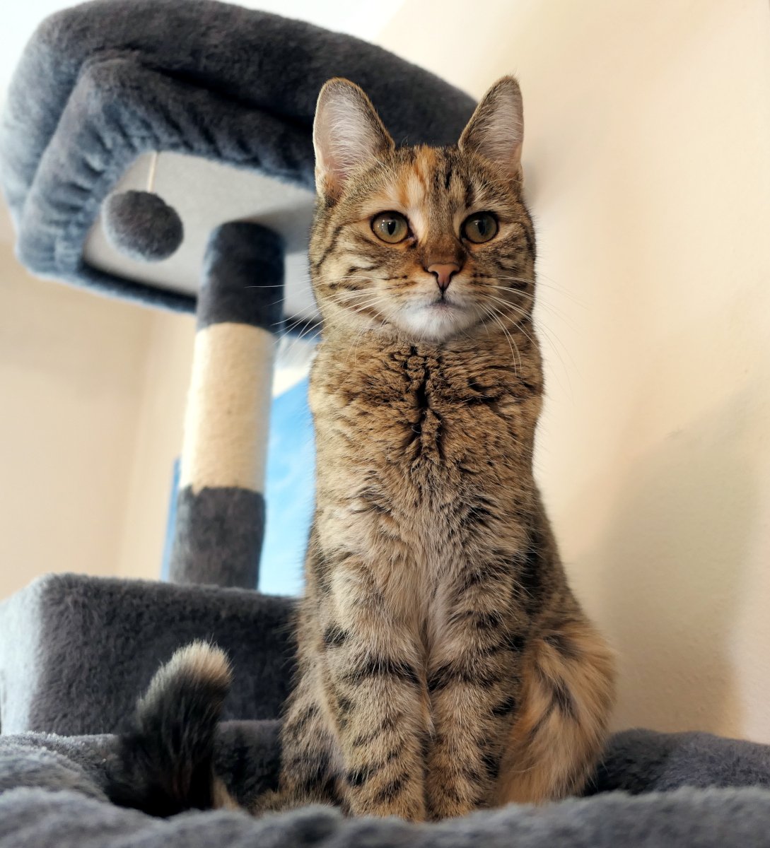 Lilly-20260430