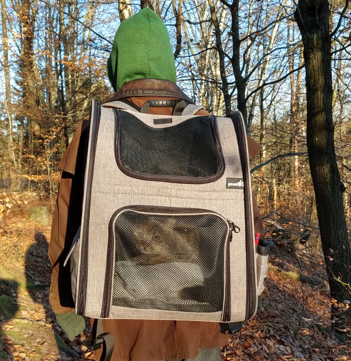 Lilly sitzt entspannt im Katzen-Wanderrucksack auf Steffens Rücken. Der Wald breitet sich vor ihr aus, während sie aufmerksam nach draußen blickt – neugierig, wachsam und absolut majestätisch. Lilly-20260118a