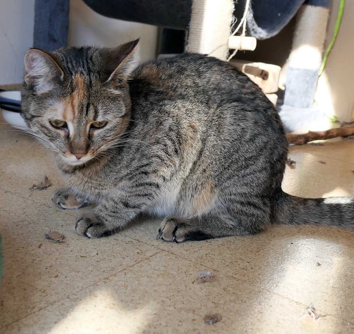 Lilly-20260423