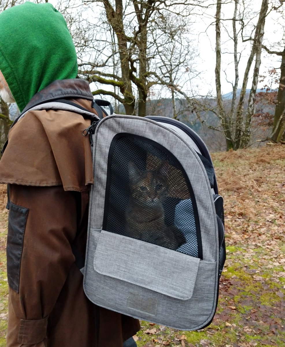 Katze Lilly sitzt entspannt in einem Wanderrucksack mit Netzfenster und blickt neugierig zur Seite hinaus, während sie auf dem Rücken eines Menschen durch die winterliche Landschaft der Sächsischen Schweiz getragen wird. Lilly-20260206a