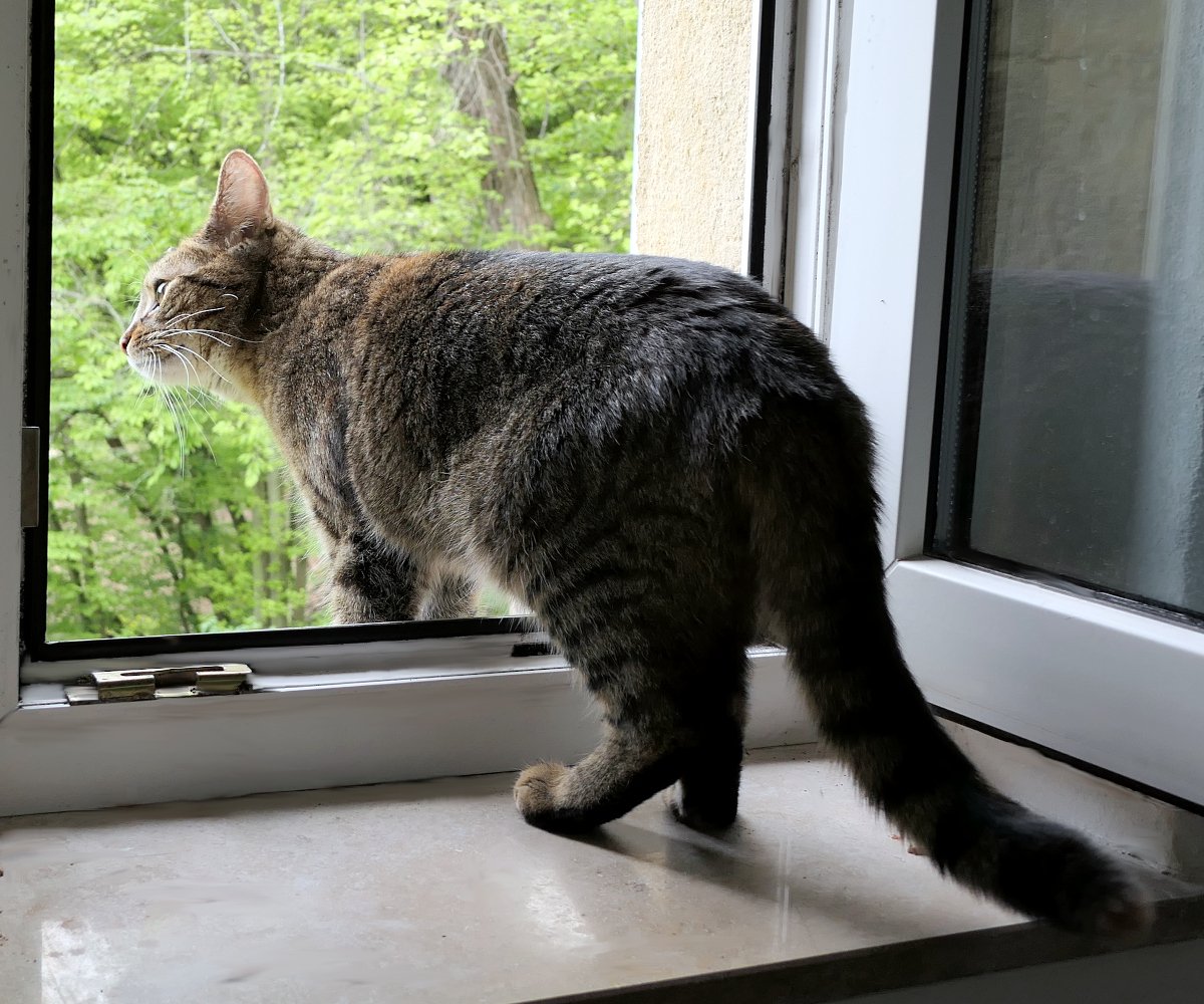 Lilly-20260504
