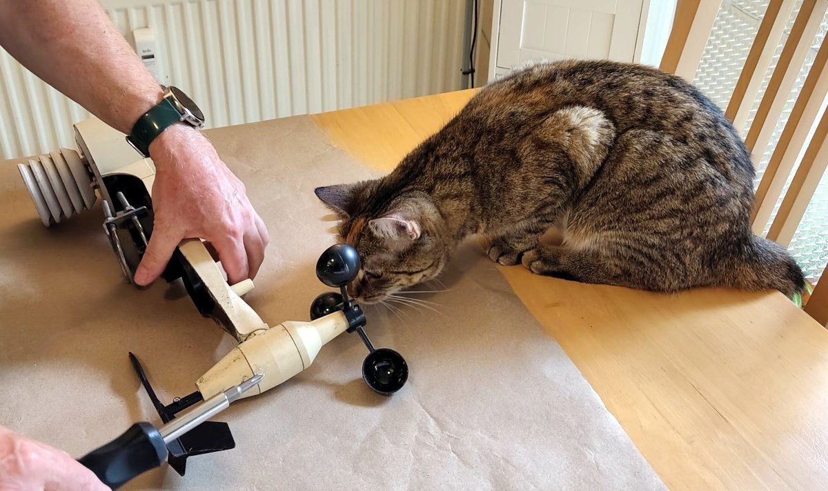 Katze Lilly sitzt auf einem Tisch direkt neben einer teilweise zerlegten Wetterstation und beschnuppert neugierig deren Windmesser, während ein Zweibeiner mit Werkzeug daran arbeitet. Lilly-20260818a