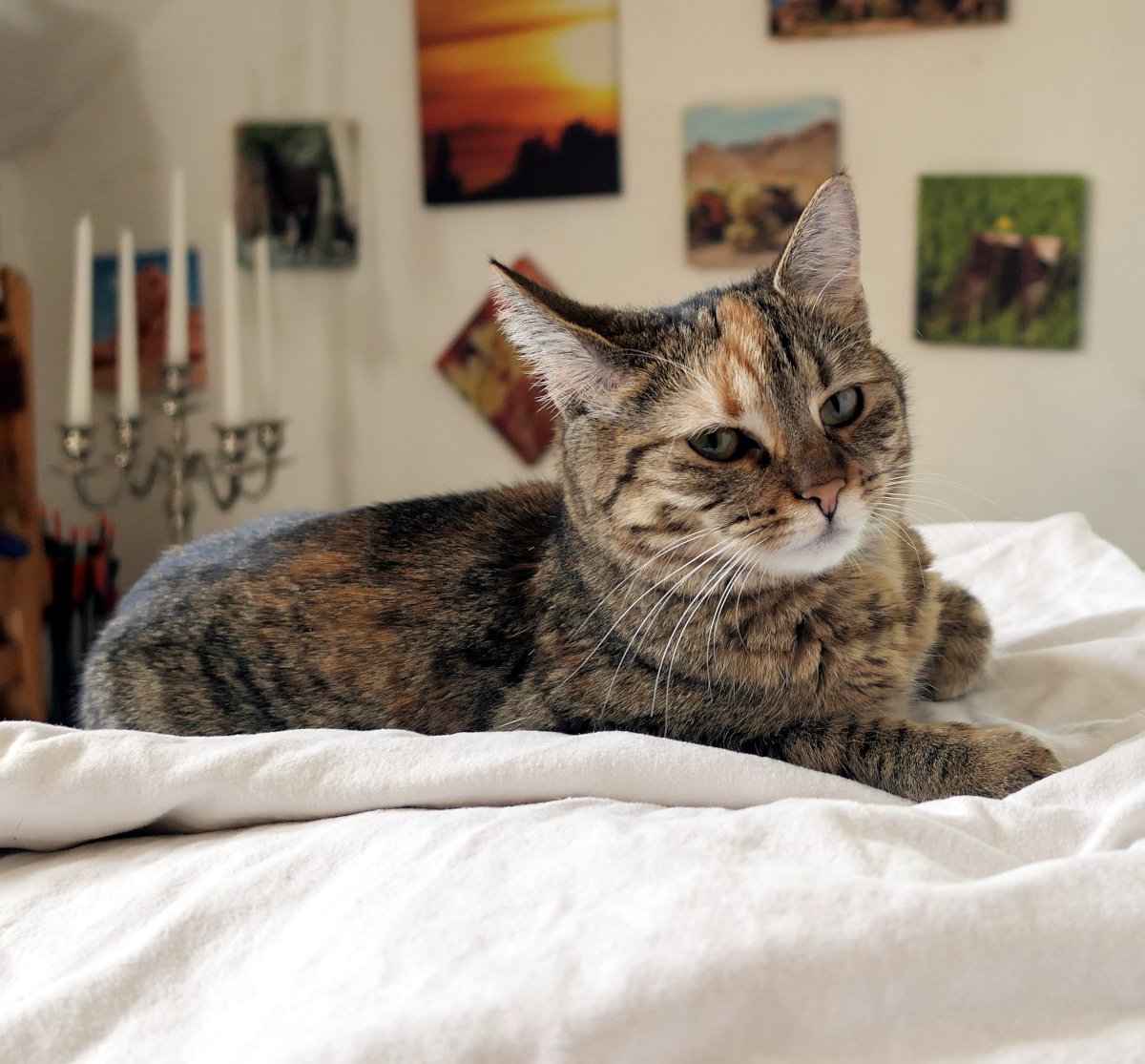 Lilly-20260526