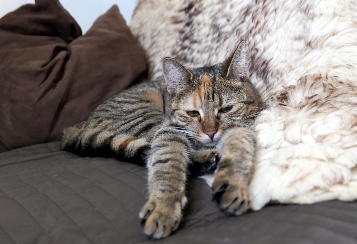 Lilly-20260528