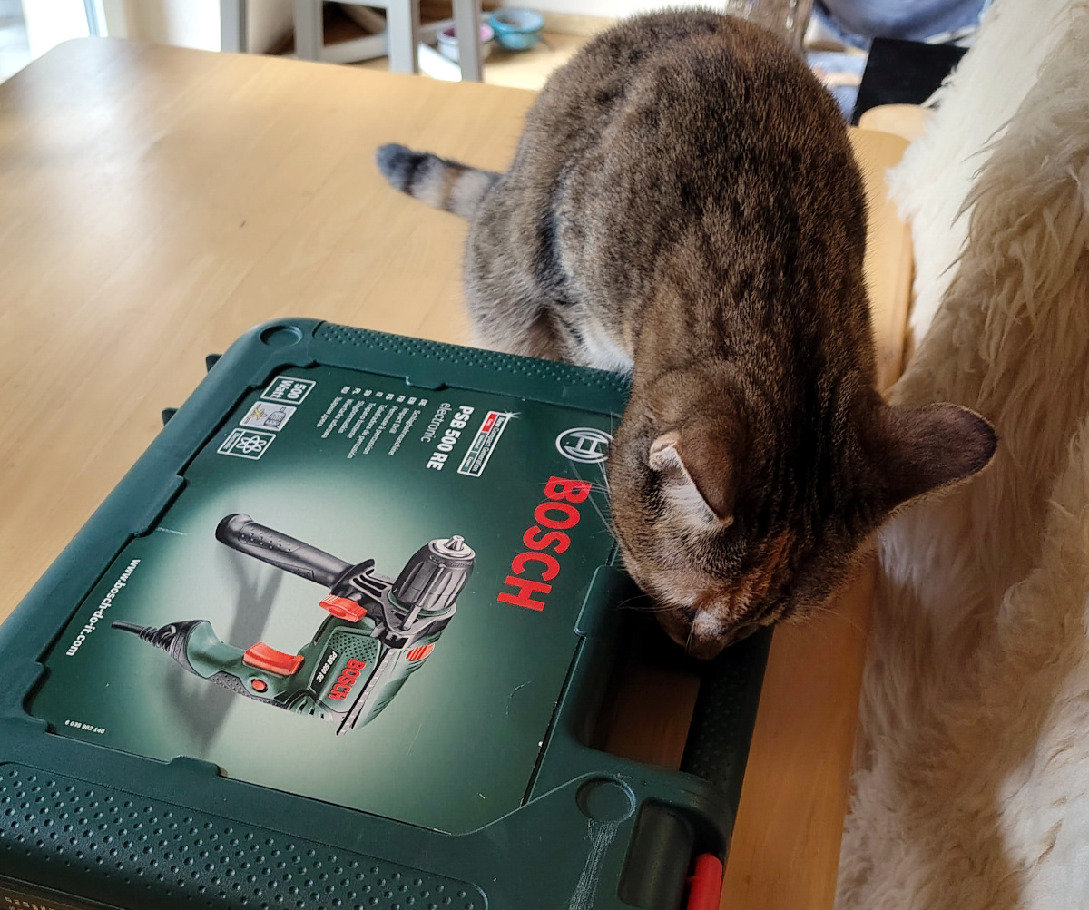 Katze Lilly untersucht neugierig einen grünen Bosch-Bohrmaschinenkoffer, der auf einem Tisch liegt. Sie hält den Kopf dicht an den Griff und schnuppert aufmerksam daran, als würde sie das Werkzeug persönlich kontrollieren. Lilly-20260901b