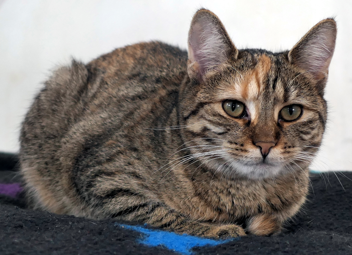 Lilly-20260302