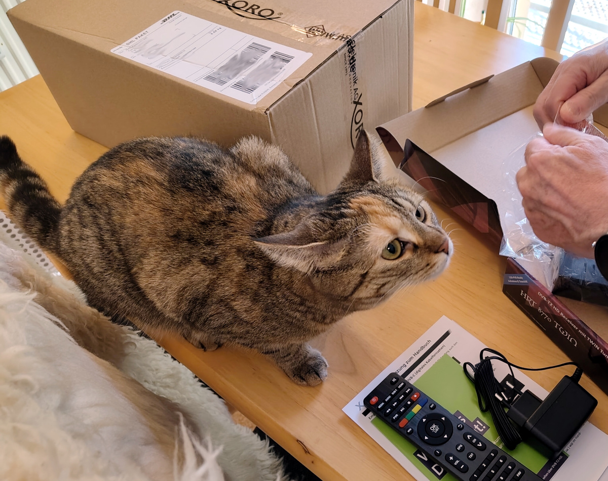 Katze Lilly hockt neugierig auf einem Holztisch und schaut mit seitlich gedrehten Ohren schräg nach oben zu den Händen eines Zweibeiners, der gerade ein technisches Gerät aus einer Verpackung nimmt. Auf dem Tisch liegen außerdem Kartons, Fernbedienung, Netzteil und Unterlagen. Lilly-20261005b