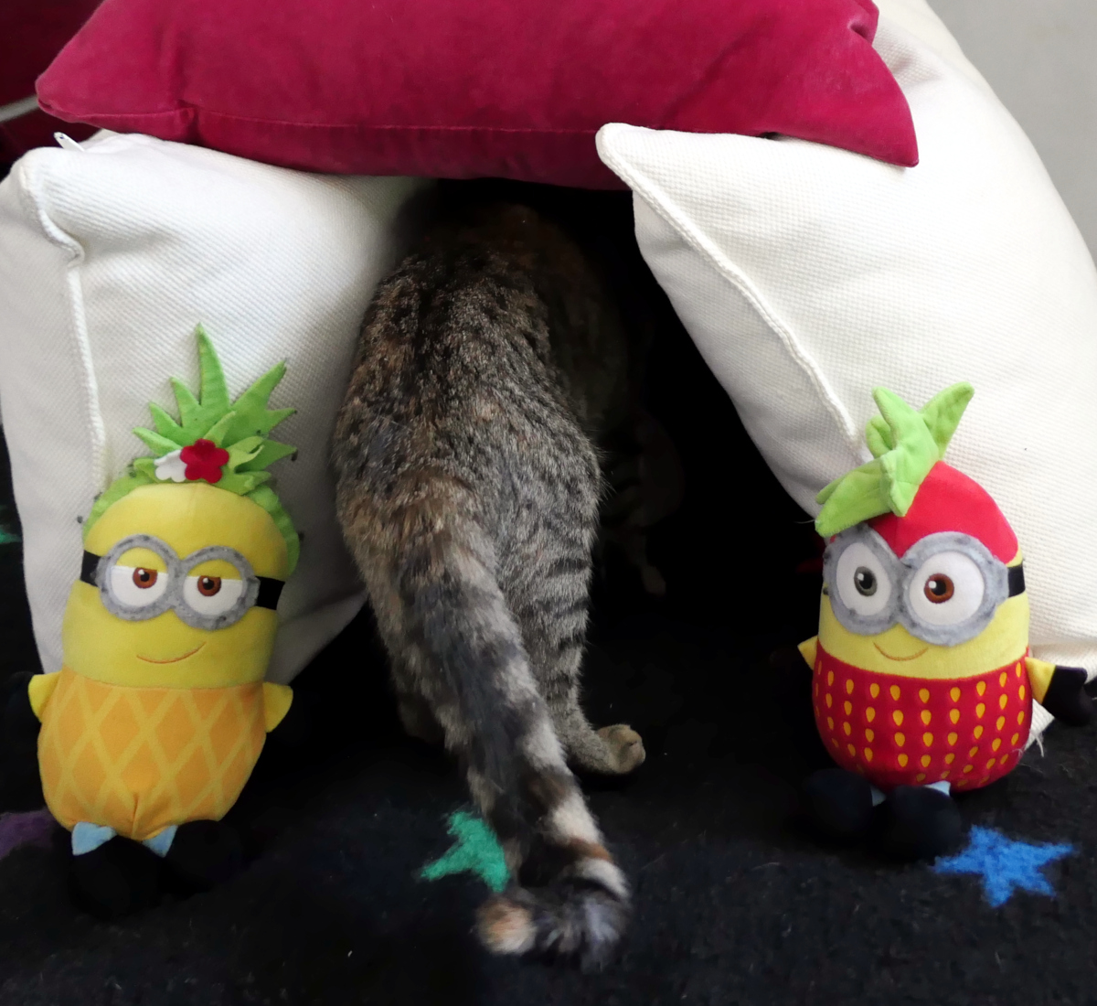 Katze Lilly verschwindet neugierig in einer selbstgebauten Kissenburg aus weißen und roten Kissen. Zwischen zwei bunten Minion-Plüschtieren steckt nur noch ihr gestreifter Hinterkörper mit dem Ringelschwanz hervor, während sie das Innere der Burg untersucht. Lilly-20260606-2