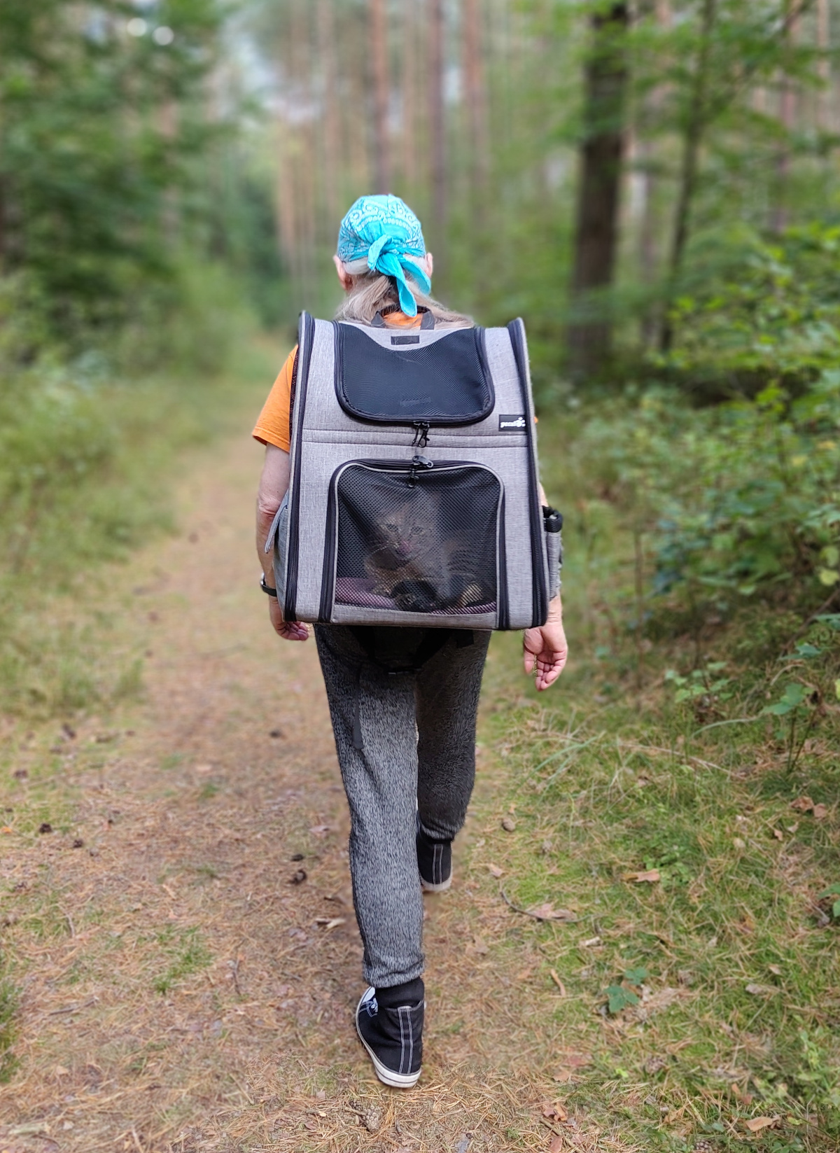 Eine Person läuft auf einem schmalen Waldweg durch einen grünen Wald und trägt einen großen grau-schwarzen Katzenrucksack auf dem Rücken. Hinter dem unteren Netzfenster ist Katze Lilly zu erkennen, die entspannt darin liegt und sich durch den Wald tragen lässt. Lilly-20260908b
