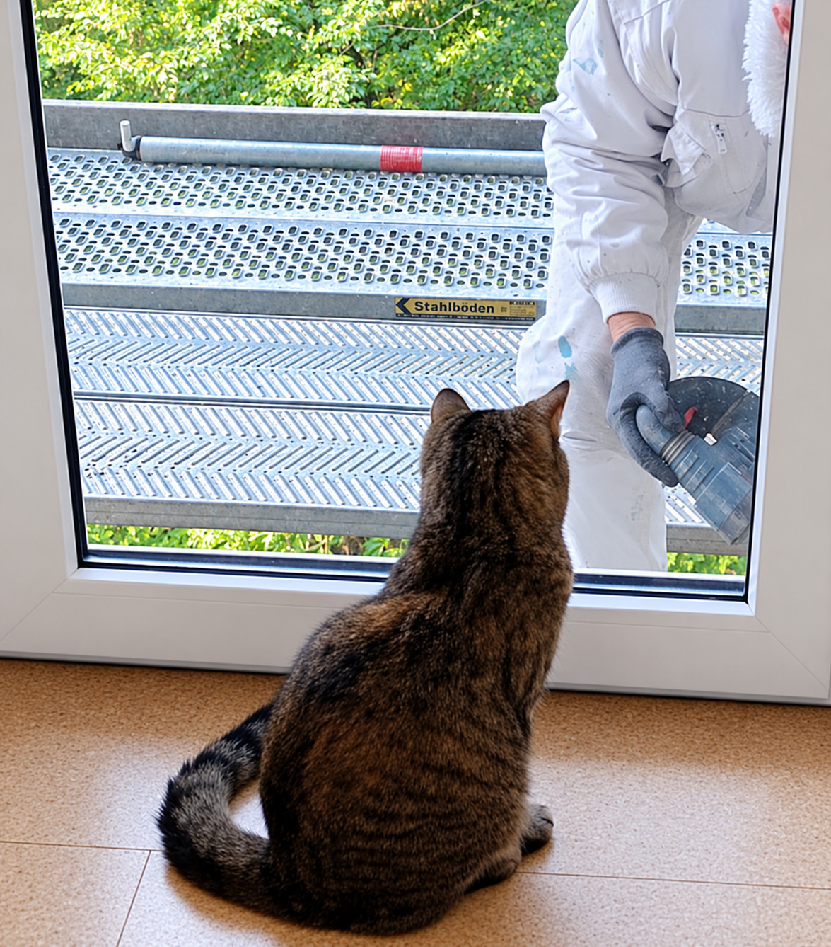 Katze Lilly sitzt mit dem Rücken zur Kamera vor einer großen Balkontür und beobachtet aufmerksam einen Handwerker auf dem Gerüst. Der Mann trägt weiße Arbeitskleidung und graue Handschuhe und hält ein Arbeitsgerät in der Hand. Zwischen den beiden befindet sich die geschlossene Glasscheibe. Hinter dem Gerüst sind grüne Bäume zu sehen. Lilly-20261012b
