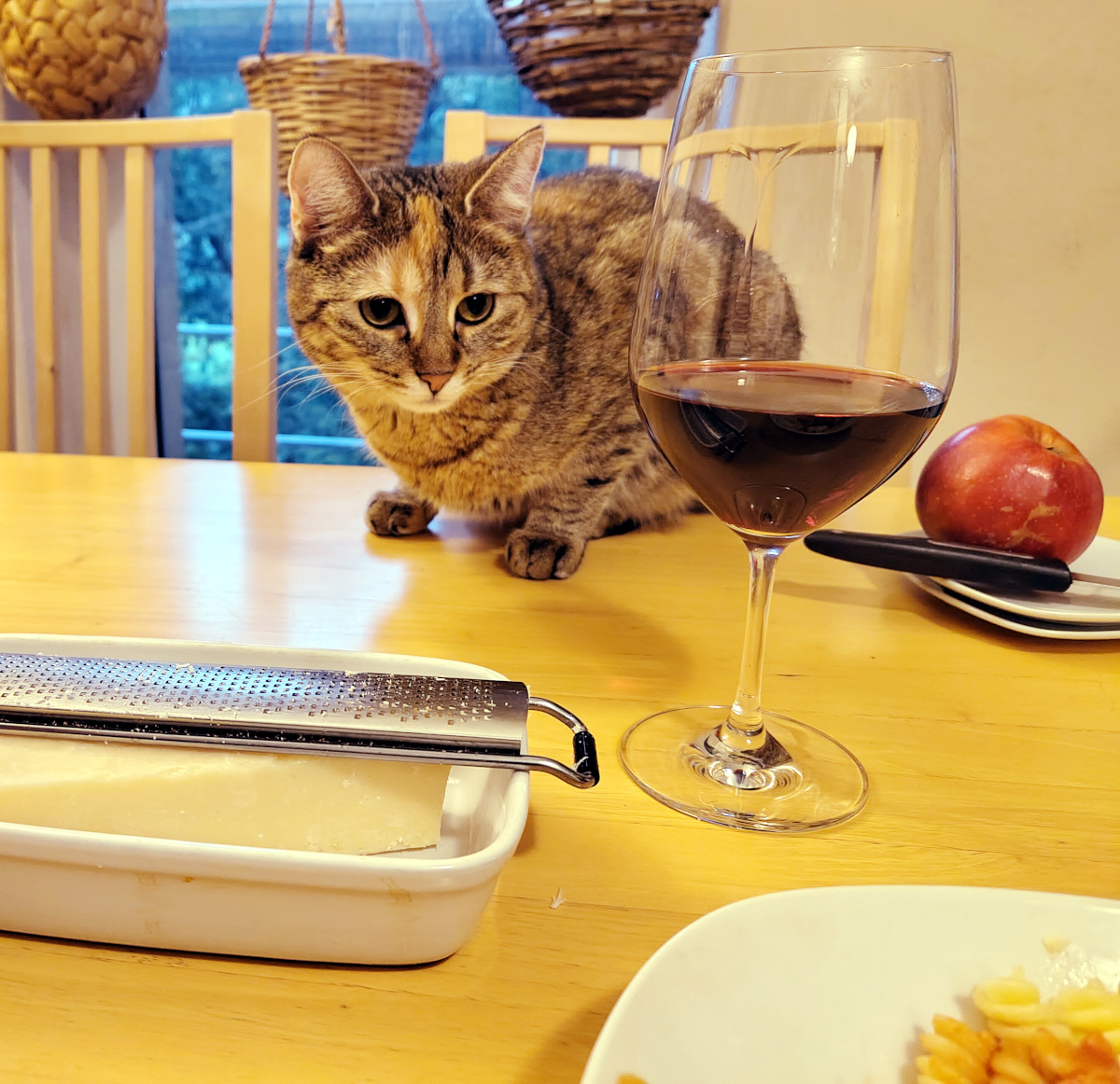 Katze Lilly sitzt erwartungsvoll auf dem hellen Esstisch und schaut direkt in die Kamera. Vor ihr stehen ein teilweise gefülltes Rotweinglas und eine Butterdose mit Reibe, daneben liegen ein Apfel und Besteck. Mit aufmerksamem Blick scheint sie auf ein Stück Käse zu hoffen. Lilly-20261012c