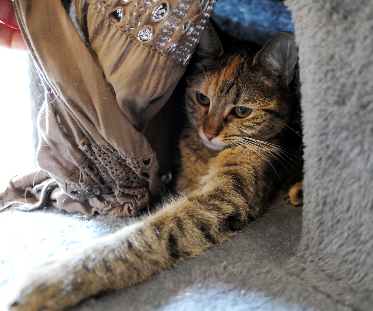 Lilly-20260514b