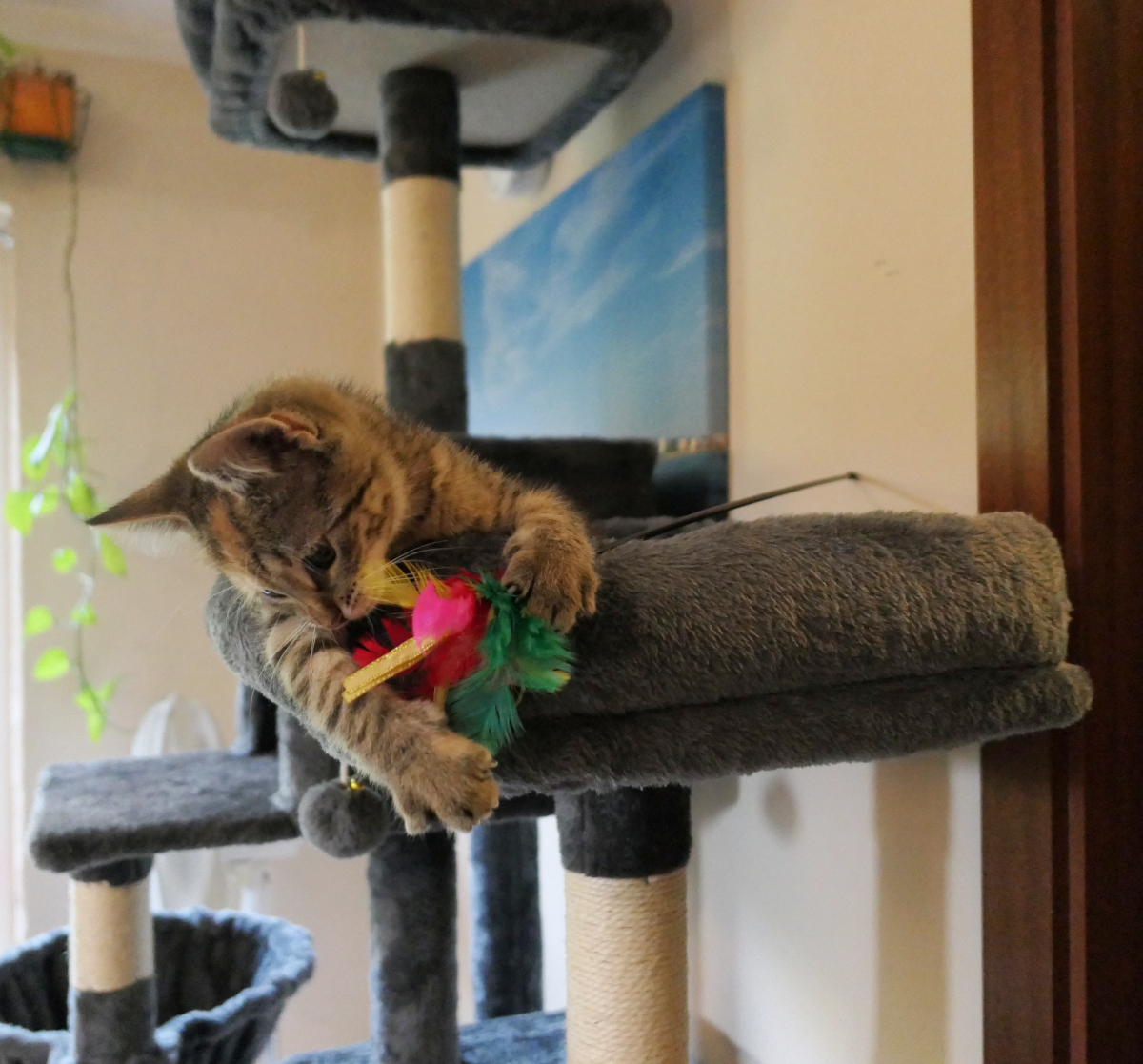 Lilly-spiel-1-20250821