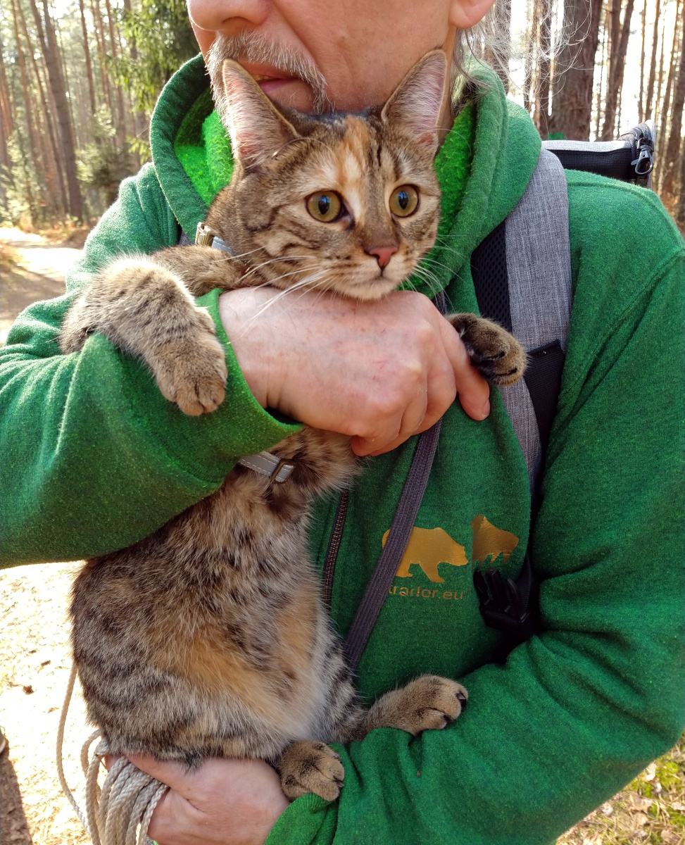 Das Bild zeigt Katze Lilly auf den Arm ihres Zweibeiners Lilly-20260322a