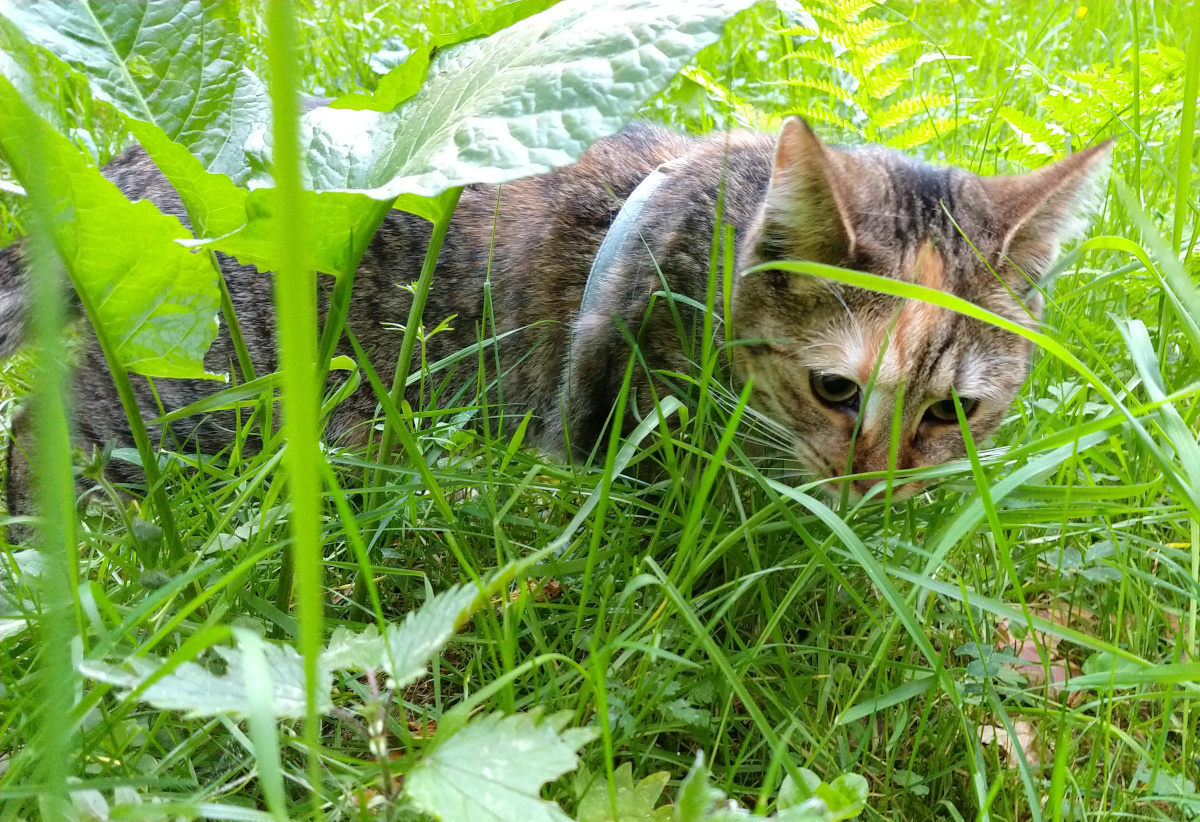 Lilly-20260523a