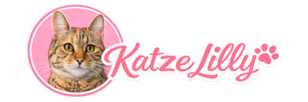 Katze Lilly
